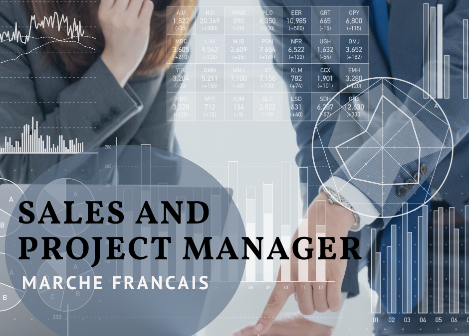 SALES &amp;AMP; PROJECT MANAGER - FRENCH MARKET ORIENTED (M/F)